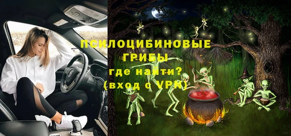 прущие грибы Нефтегорск