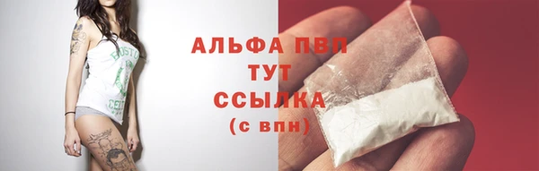 прущие грибы Нефтегорск
