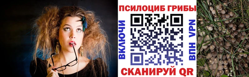 купить   Рассказово  Галлюциногенные грибы мухоморы 